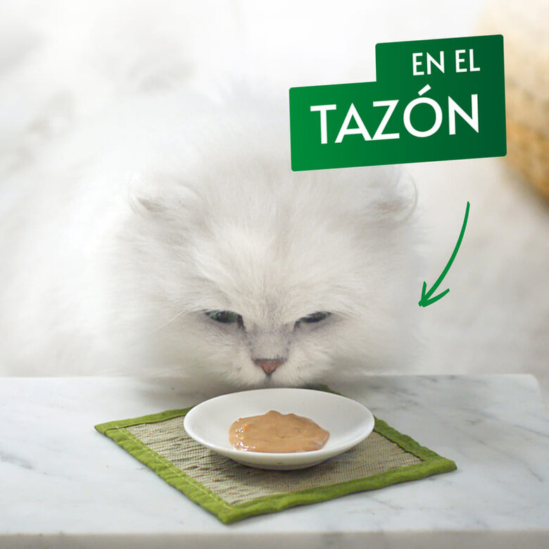 Gourmet Nature's Creations Snack Húmido de Salmão para gatos, , large image number null